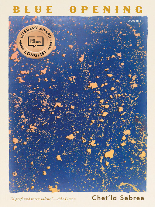 Cover image for Blue Opening